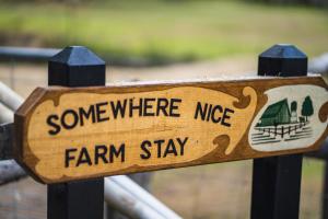 Wallabies, parrots, farm animals