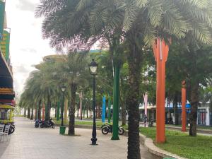 Căn Hộ (Apartment)