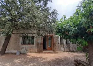 Le Grand Saint Mitre - Seillons-Source-dʼArgens