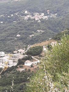 Ribellu