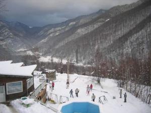 Cabana Floare de stâncă Retezat cu Ciubar in pădure