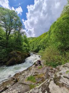 Cabana Floare de stâncă Retezat cu Ciubar in pădure
