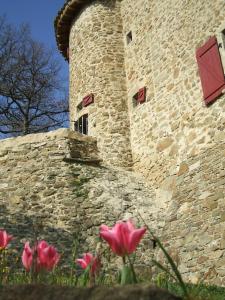 Appartements Gite Donjon : Studio avec Vue sur Jardin