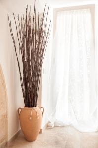 Carpe Diem B&B e Case Vacanza