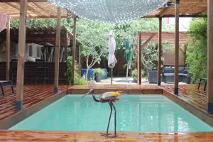 Les 2 Drôles d'Oiseaux - Luc-sur-Orbieu