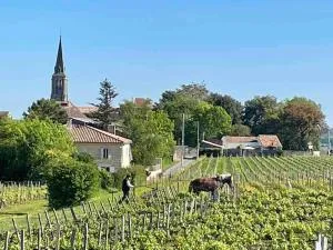 Studio with AC, pool & garden, 2km St Emilion - Sainte-Colombe