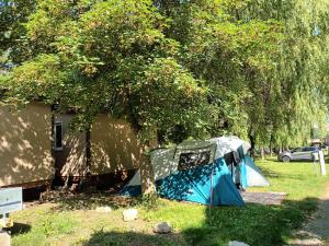 Campings Camping du lac : photos des chambres