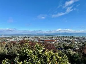 Pinnacle Apartment - Stoke