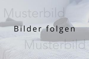 Cozy Apartment in Lippstadt