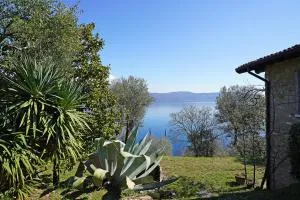 Ville in uliveto vista lago - VILLA CASALIVA - Pulciano