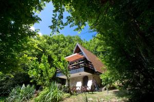 Mrežnički doživljaj