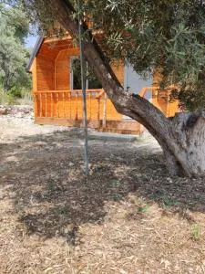 Moskato Vilas - 贾尔