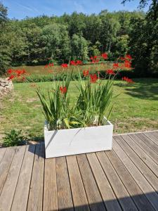 Domaine des Aulnaies - Beauval - Mareuil sur Cher