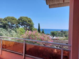 Appartements Appartement Cavalaire-sur-Mer, 1 piece, 4 personnes - FR-1-226B-167 : photos des chambres