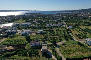 Apartments Borna