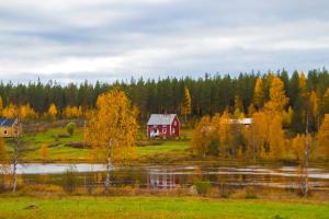 COZY Home with LAKE view-free WiFi - free SAUNA