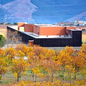 The Manor House Celeirós