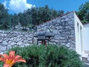 House Klementina