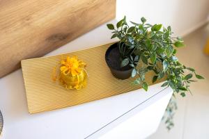 Cosy Apartment Terrano -free private parking