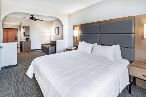 King Studio Suite - Non-Smoking room in Wingate Houston Bush Intercontinental Airport IAH