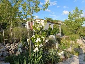 Robinson Haus PanoramA - Grabovac