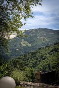 Luxury Chalet Na Stromym Wzgórzu & Sauna