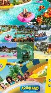 Villas Villa Milea - Lege Cap-Ferret : photos des chambres