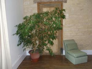 Maisons de vacances Le Presbytere - Touillon, jacuzzi, 4 chambres pour 10 : photos des chambres
