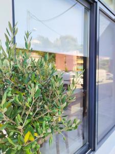 Avramiou Loft Studio