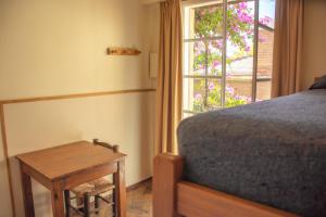 Alamo Hostel & Suites