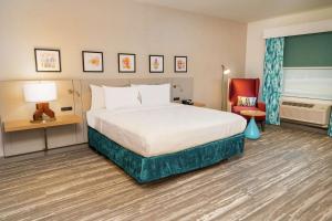 King Room with Accessible Tub - Mobility Access room in Hilton Garden Inn Cedar Park Austin