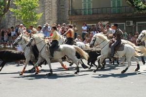 Maisons de vacances Charmante maison de village au coeur de Saint-Remy : photos des chambres