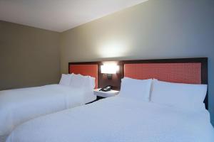 Queen Room with Two Queen Beds room in Hampton Inn Colorado Springs I-25 Central