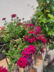 Deluxe Double Room with Garage FiS