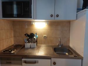 Studio cabine 4 pers, terrasses, proche pistes - FR-1-411-137