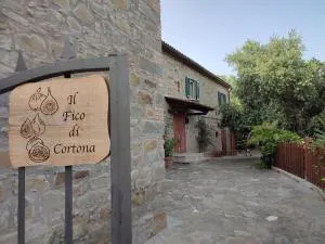 Il Fico di Cortona - Camucia