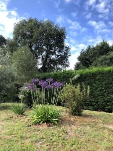 Villas Jolie villa avec grande piscine et immense jardin : photos des chambres