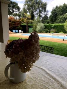 Villas Jolie villa avec grande piscine et immense jardin : photos des chambres