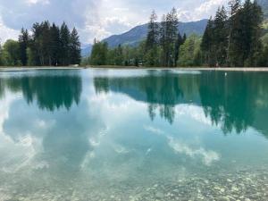 Appartements Appartamento di charme : photos des chambres