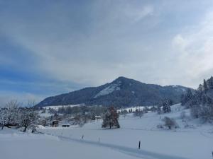 Appartements Appartamento di charme : photos des chambres