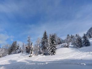 Appartements Appartamento di charme : photos des chambres