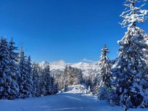 Appartements Appartamento di charme : photos des chambres