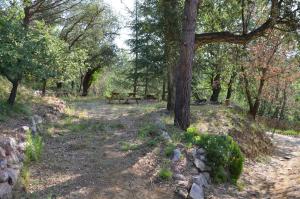 Maisons de vacances Maison Amandre en Pleine Nature - Mas Lou Castanea : photos des chambres