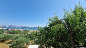 Almond Tree guest house