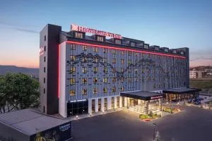 Hilton Garden Inn Erzurum - Yarımca