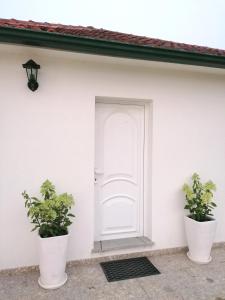 Casa das Castanheiras
