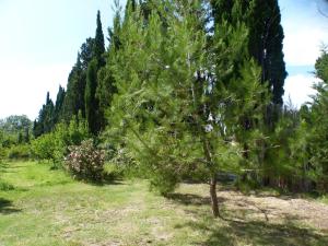 Campings TOSCANE : photos des chambres