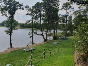 Domki w lesie nad Drawskim