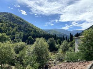 Maisons d'hotes L'ourse, chambre double - Gite de la Louve : photos des chambres