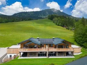 Dachstein Chalet - Schattau